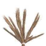 ΔΙΑΚΟΣΜΗΤΙΚΟ ΔΕΝΤΡΟ TROPIC HM4322 τ.ΦΟΙΝΙΚΑ ΑΠΟ MENDONG GRASS 360Yεκ. ΔΙΑΚΟΣΜΗΤΙΚΟ ΔΕΝΤΡΟ TROPIC HM4322 τ.ΦΟΙΝΙΚΑ ΑΠΟ MENDONG GRASS 360Yεκ.