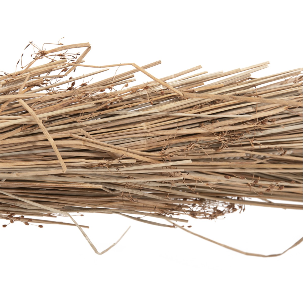 ΔΙΑΚΟΣΜΗΤΙΚΟ ΔΕΝΤΡΟ TROPIC HM4322 τ.ΦΟΙΝΙΚΑ ΑΠΟ MENDONG GRASS 360Yεκ. ΔΙΑΚΟΣΜΗΤΙΚΟ ΔΕΝΤΡΟ TROPIC HM4322 τ.ΦΟΙΝΙΚΑ ΑΠΟ MENDONG GRASS 360Yεκ.