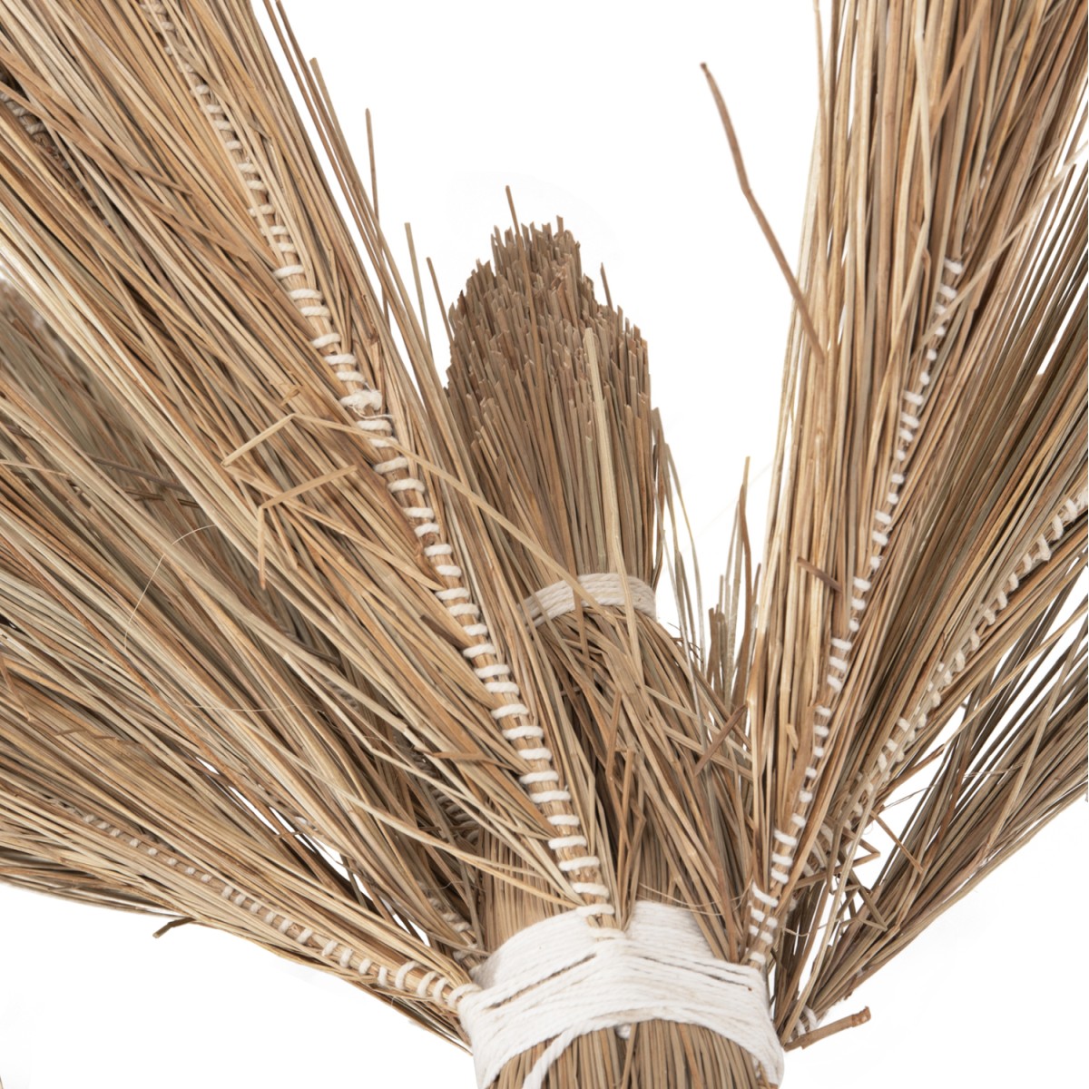 ΔΙΑΚΟΣΜΗΤΙΚΟ ΔΕΝΤΡΟ TROPIC HM4322 τ.ΦΟΙΝΙΚΑ ΑΠΟ MENDONG GRASS 360Yεκ. ΔΙΑΚΟΣΜΗΤΙΚΟ ΔΕΝΤΡΟ TROPIC HM4322 τ.ΦΟΙΝΙΚΑ ΑΠΟ MENDONG GRASS 360Yεκ.