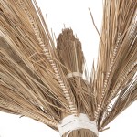 ΔΙΑΚΟΣΜΗΤΙΚΟ ΔΕΝΤΡΟ TROPIC HM4322 τ.ΦΟΙΝΙΚΑ ΑΠΟ MENDONG GRASS 360Yεκ. ΔΙΑΚΟΣΜΗΤΙΚΟ ΔΕΝΤΡΟ TROPIC HM4322 τ.ΦΟΙΝΙΚΑ ΑΠΟ MENDONG GRASS 360Yεκ.