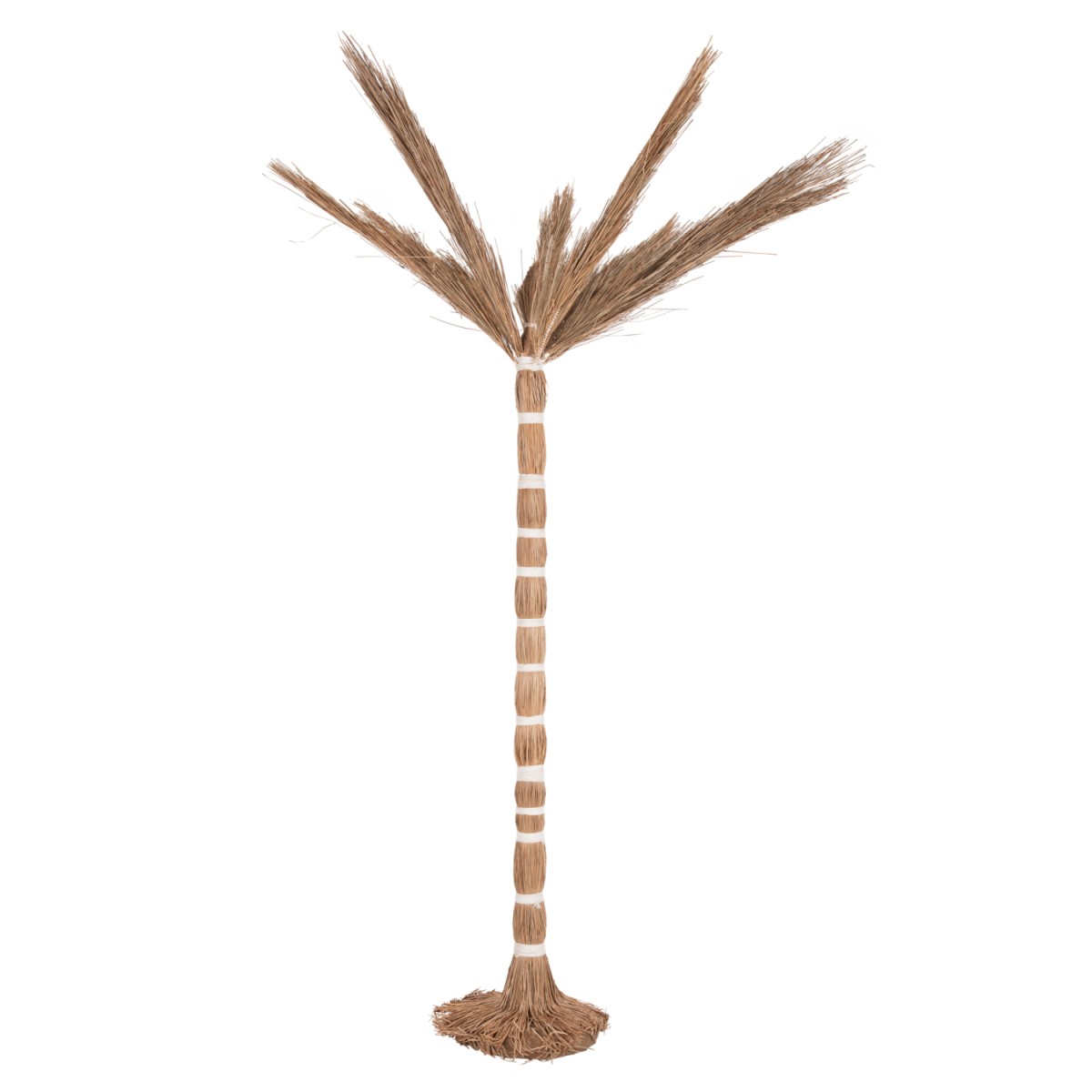 ΔΙΑΚΟΣΜΗΤΙΚΟ ΔΕΝΤΡΟ TROPIC HM4323 τ.ΦΟΙΝΙΚΑ ΑΠΟ MENDONG GRASS 310Yεκ. ΔΙΑΚΟΣΜΗΤΙΚΟ ΔΕΝΤΡΟ TROPIC HM4323 τ.ΦΟΙΝΙΚΑ ΑΠΟ MENDONG GRASS 310Yεκ.
