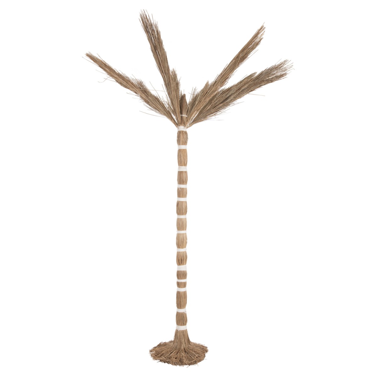 ΔΙΑΚΟΣΜΗΤΙΚΟ ΔΕΝΤΡΟ TROPIC HM4323 τ.ΦΟΙΝΙΚΑ ΑΠΟ MENDONG GRASS 310Yεκ. ΔΙΑΚΟΣΜΗΤΙΚΟ ΔΕΝΤΡΟ TROPIC HM4323 τ.ΦΟΙΝΙΚΑ ΑΠΟ MENDONG GRASS 310Yεκ.