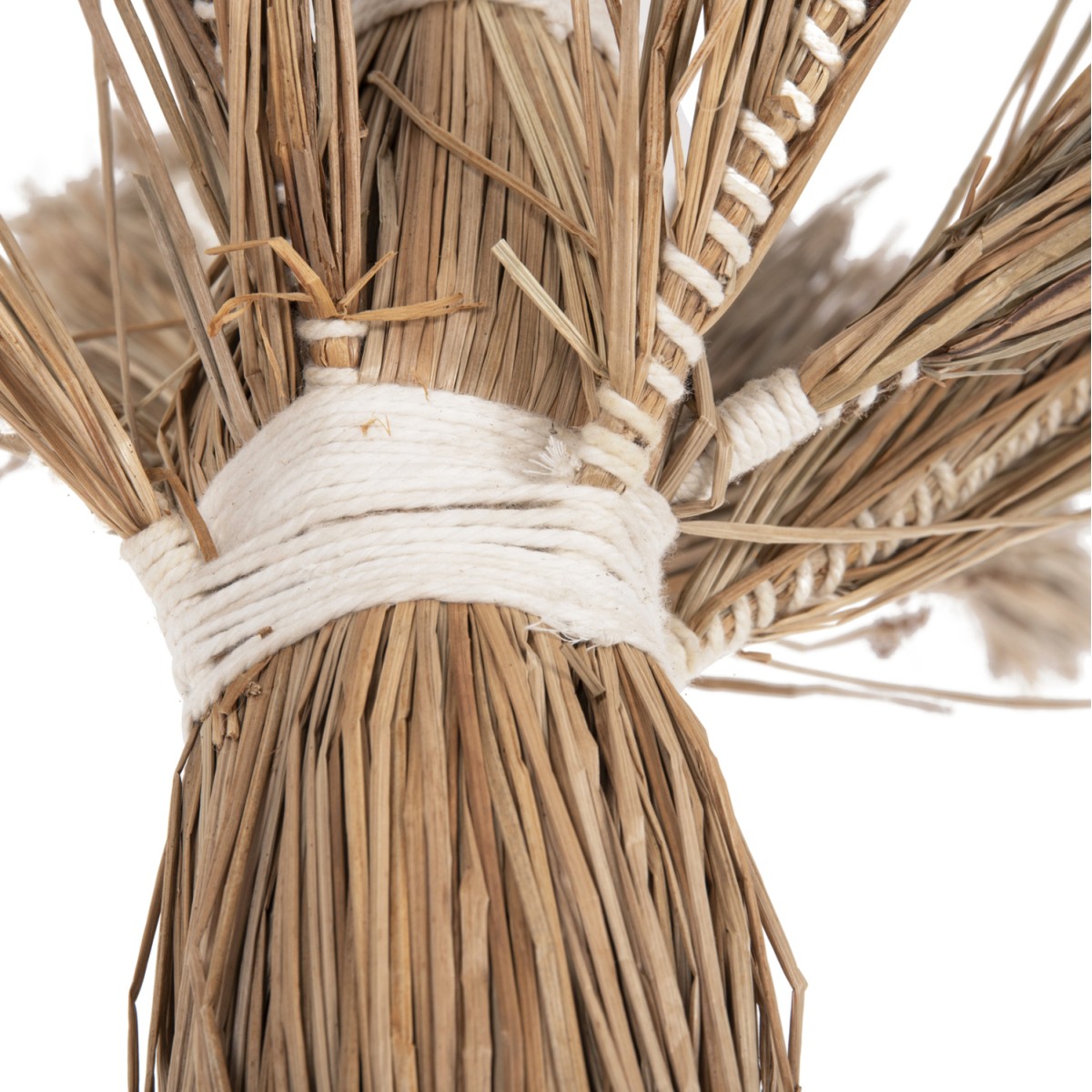 ΔΙΑΚΟΣΜΗΤΙΚΟ ΔΕΝΤΡΟ TROPIC HM4323 τ.ΦΟΙΝΙΚΑ ΑΠΟ MENDONG GRASS 310Yεκ. ΔΙΑΚΟΣΜΗΤΙΚΟ ΔΕΝΤΡΟ TROPIC HM4323 τ.ΦΟΙΝΙΚΑ ΑΠΟ MENDONG GRASS 310Yεκ.