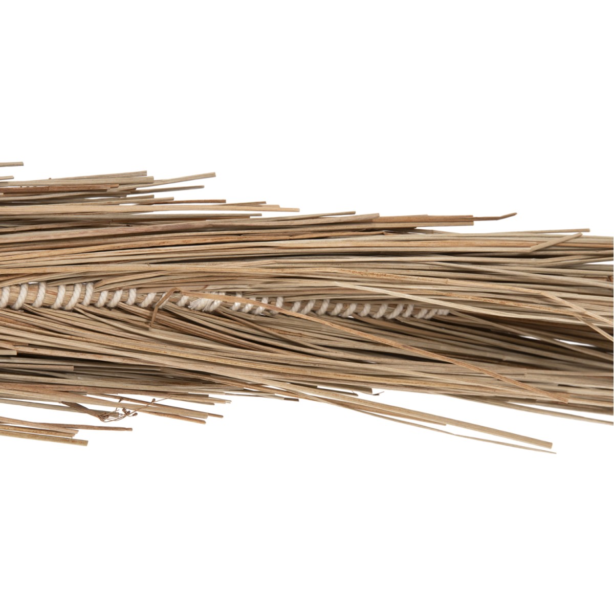 ΔΙΑΚΟΣΜΗΤΙΚΟ ΔΕΝΤΡΟ TROPIC HM4323 τ.ΦΟΙΝΙΚΑ ΑΠΟ MENDONG GRASS 310Yεκ. ΔΙΑΚΟΣΜΗΤΙΚΟ ΔΕΝΤΡΟ TROPIC HM4323 τ.ΦΟΙΝΙΚΑ ΑΠΟ MENDONG GRASS 310Yεκ.