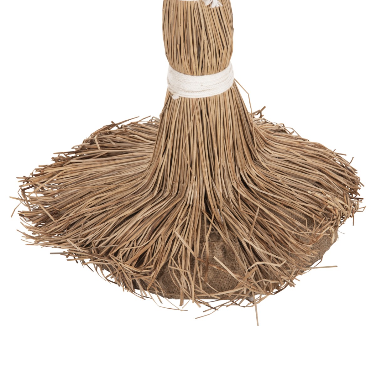 ΔΙΑΚΟΣΜΗΤΙΚΟ ΔΕΝΤΡΟ TROPIC HM4323 τ.ΦΟΙΝΙΚΑ ΑΠΟ MENDONG GRASS 310Yεκ. ΔΙΑΚΟΣΜΗΤΙΚΟ ΔΕΝΤΡΟ TROPIC HM4323 τ.ΦΟΙΝΙΚΑ ΑΠΟ MENDONG GRASS 310Yεκ.