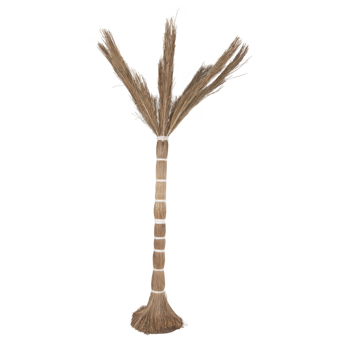 ΔΙΑΚΟΣΜΗΤΙΚΟ ΔΕΝΤΡΟ TROPIC HM4324 τ.ΦΟΙΝΙΚΑ ΑΠΟ MENDONG GRASS 280Yεκ. ΔΙΑΚΟΣΜΗΤΙΚΟ ΔΕΝΤΡΟ TROPIC HM4324 τ.ΦΟΙΝΙΚΑ ΑΠΟ MENDONG GRASS 280Yεκ.