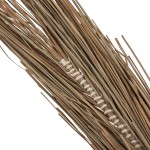 ΔΙΑΚΟΣΜΗΤΙΚΟ ΔΕΝΤΡΟ TROPIC HM4324 τ.ΦΟΙΝΙΚΑ ΑΠΟ MENDONG GRASS 280Yεκ. ΔΙΑΚΟΣΜΗΤΙΚΟ ΔΕΝΤΡΟ TROPIC HM4324 τ.ΦΟΙΝΙΚΑ ΑΠΟ MENDONG GRASS 280Yεκ.