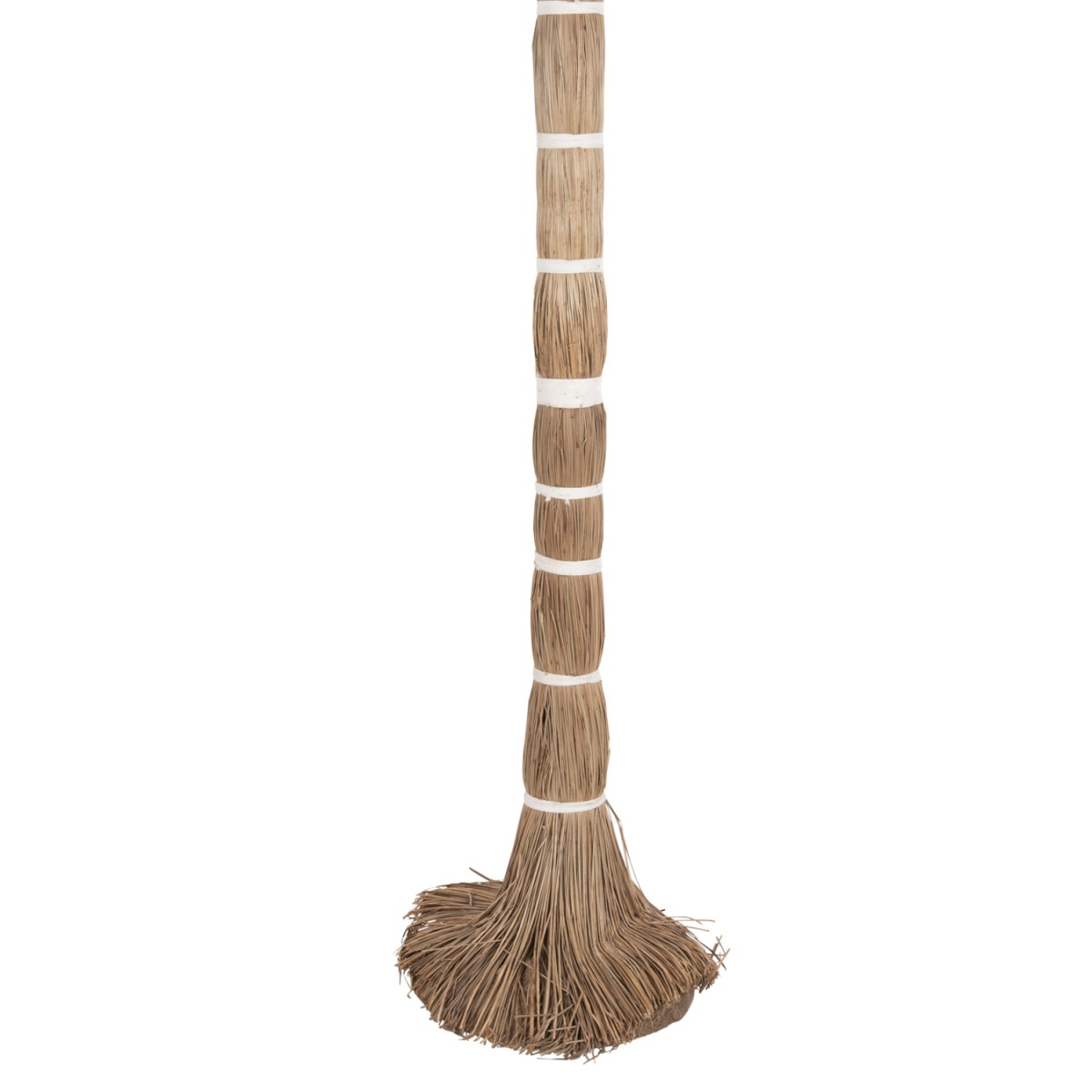 ΔΙΑΚΟΣΜΗΤΙΚΟ ΔΕΝΤΡΟ TROPIC HM4324 τ.ΦΟΙΝΙΚΑ ΑΠΟ MENDONG GRASS 280Yεκ. ΔΙΑΚΟΣΜΗΤΙΚΟ ΔΕΝΤΡΟ TROPIC HM4324 τ.ΦΟΙΝΙΚΑ ΑΠΟ MENDONG GRASS 280Yεκ.