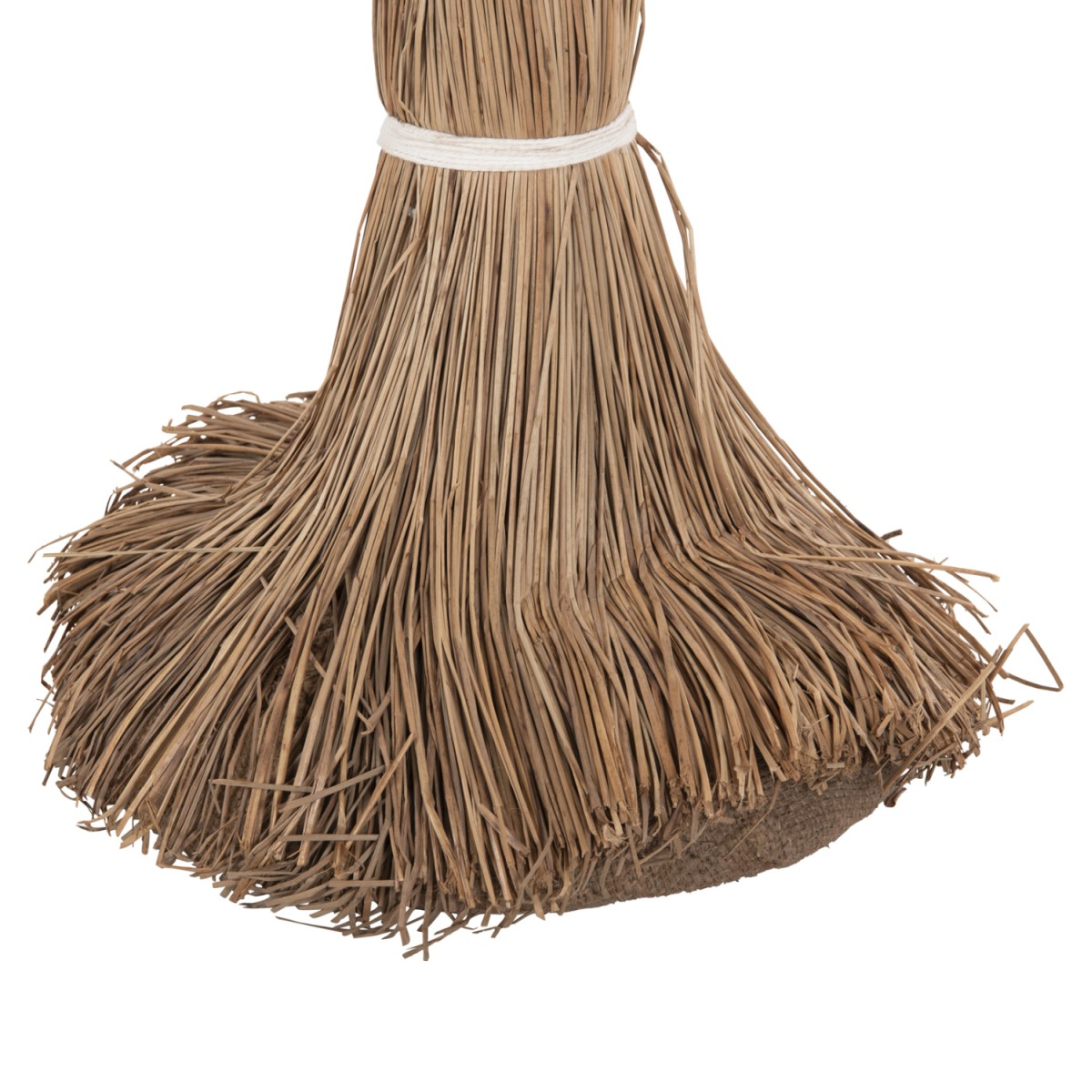 ΔΙΑΚΟΣΜΗΤΙΚΟ ΔΕΝΤΡΟ TROPIC HM4324 τ.ΦΟΙΝΙΚΑ ΑΠΟ MENDONG GRASS 280Yεκ. ΔΙΑΚΟΣΜΗΤΙΚΟ ΔΕΝΤΡΟ TROPIC HM4324 τ.ΦΟΙΝΙΚΑ ΑΠΟ MENDONG GRASS 280Yεκ.