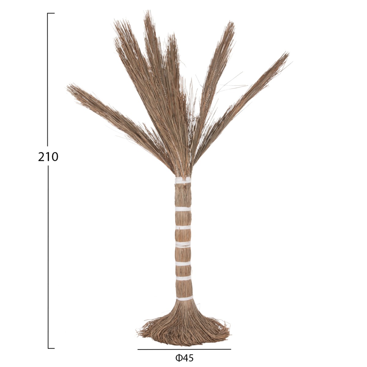 ΔΙΑΚΟΣΜΗΤΙΚΟ ΔΕΝΤΡΟ TROPIC HM4325 τ.ΦΟΙΝΙΚΑ ΑΠΟ MENDONG GRASS 210Yεκ. ΔΙΑΚΟΣΜΗΤΙΚΟ ΔΕΝΤΡΟ TROPIC HM4325 τ.ΦΟΙΝΙΚΑ ΑΠΟ MENDONG GRASS 210Yεκ.