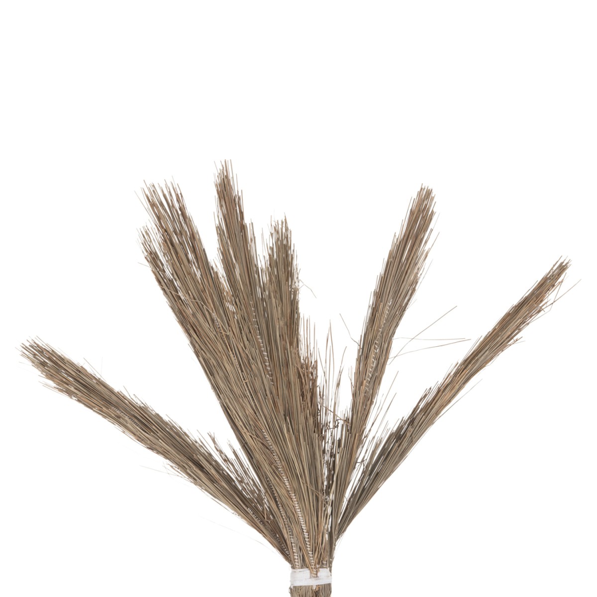 ΔΙΑΚΟΣΜΗΤΙΚΟ ΔΕΝΤΡΟ TROPIC HM4325 τ.ΦΟΙΝΙΚΑ ΑΠΟ MENDONG GRASS 210Yεκ. ΔΙΑΚΟΣΜΗΤΙΚΟ ΔΕΝΤΡΟ TROPIC HM4325 τ.ΦΟΙΝΙΚΑ ΑΠΟ MENDONG GRASS 210Yεκ.