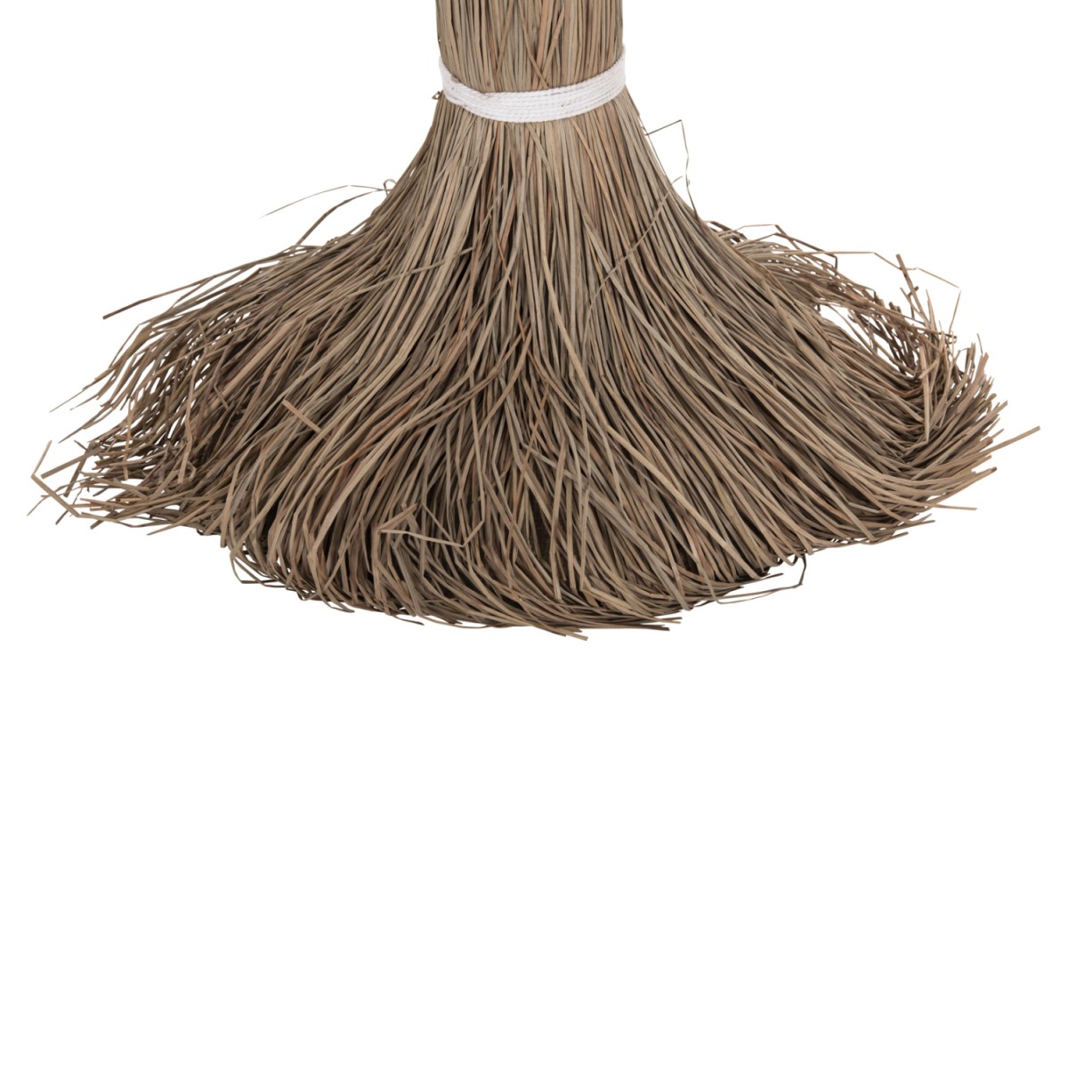 ΔΙΑΚΟΣΜΗΤΙΚΟ ΔΕΝΤΡΟ TROPIC HM4325 τ.ΦΟΙΝΙΚΑ ΑΠΟ MENDONG GRASS 210Yεκ. ΔΙΑΚΟΣΜΗΤΙΚΟ ΔΕΝΤΡΟ TROPIC HM4325 τ.ΦΟΙΝΙΚΑ ΑΠΟ MENDONG GRASS 210Yεκ.