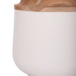 ΔΙΑΚΟΣΜΗΤΙΚΟ ΒΑΖΟ ΔΑΠΕΔΟΥ LINTER HM4662.02L FIBER CEMENT ΛΕΥΚΟ--ΞΥΛΟ ΤΕΑΚ Φ41x47Υεκ. ΔΙΑΚΟΣΜΗΤΙΚΟ ΒΑΖΟ ΔΑΠΕΔΟΥ LINTER HM4662.02L FIBER CEMENT ΛΕΥΚΟ--ΞΥΛΟ ΤΕΑΚ Φ41x47Υεκ.