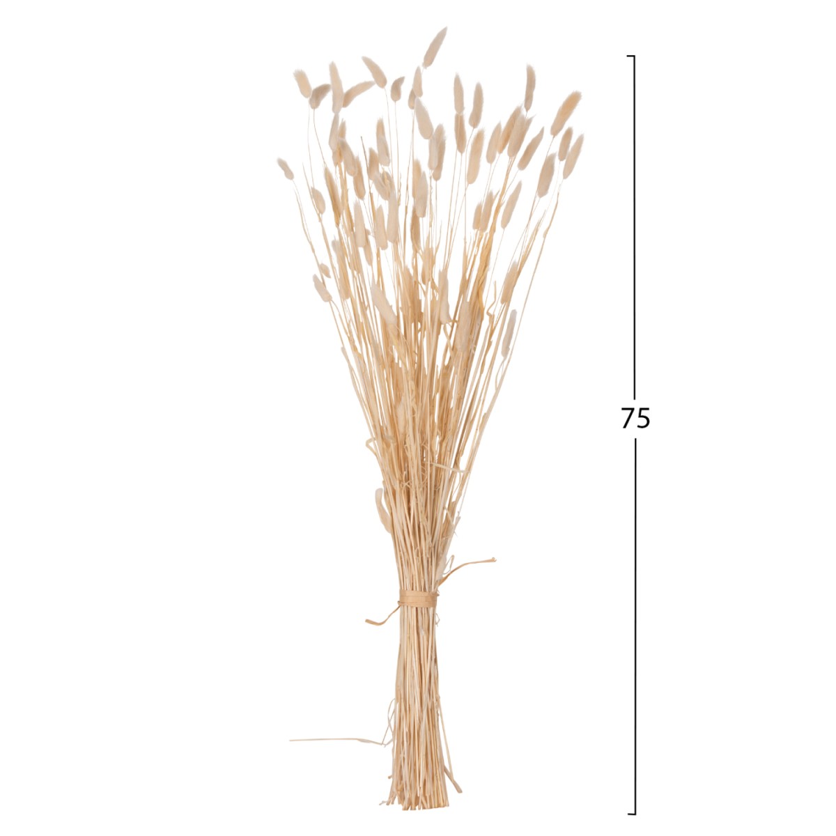 ΔΙΑΚΟΣΜΗΤΙΚΟ ΜΠΟΥΚΕΤΟ ΑΠΟΞΗΡΑΜΕΝΟ HM7959 RABBIT TAIL- CREAM 50gr 76Υεκ. ΔΙΑΚΟΣΜΗΤΙΚΟ ΜΠΟΥΚΕΤΟ ΑΠΟΞΗΡΑΜΕΝΟ HM7959 RABBIT TAIL- CREAM 50gr 76Υεκ.