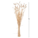 ΔΙΑΚΟΣΜΗΤΙΚΟ ΜΠΟΥΚΕΤΟ ΑΠΟΞΗΡΑΜΕΝΟ HM7959 RABBIT TAIL- CREAM 50gr 76Υεκ. ΔΙΑΚΟΣΜΗΤΙΚΟ ΜΠΟΥΚΕΤΟ ΑΠΟΞΗΡΑΜΕΝΟ HM7959 RABBIT TAIL- CREAM 50gr 76Υεκ.