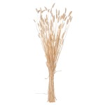 ΔΙΑΚΟΣΜΗΤΙΚΟ ΜΠΟΥΚΕΤΟ ΑΠΟΞΗΡΑΜΕΝΟ HM7959 RABBIT TAIL- CREAM 50gr 76Υεκ. ΔΙΑΚΟΣΜΗΤΙΚΟ ΜΠΟΥΚΕΤΟ ΑΠΟΞΗΡΑΜΕΝΟ HM7959 RABBIT TAIL- CREAM 50gr 76Υεκ.