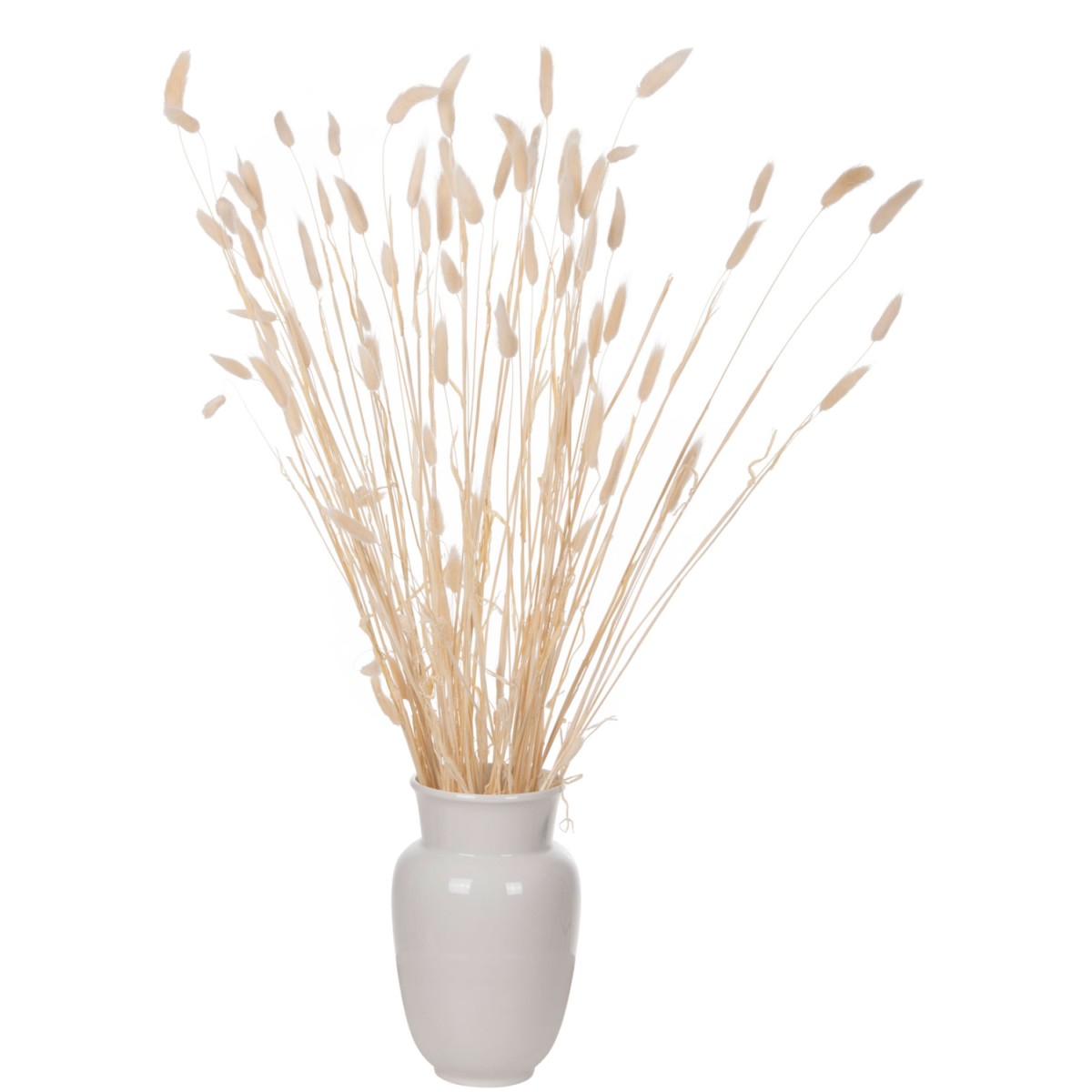 ΔΙΑΚΟΣΜΗΤΙΚΟ ΜΠΟΥΚΕΤΟ ΑΠΟΞΗΡΑΜΕΝΟ HM7959 RABBIT TAIL- CREAM 50gr 76Υεκ. ΔΙΑΚΟΣΜΗΤΙΚΟ ΜΠΟΥΚΕΤΟ ΑΠΟΞΗΡΑΜΕΝΟ HM7959 RABBIT TAIL- CREAM 50gr 76Υεκ.