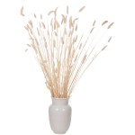ΔΙΑΚΟΣΜΗΤΙΚΟ ΜΠΟΥΚΕΤΟ ΑΠΟΞΗΡΑΜΕΝΟ HM7959 RABBIT TAIL- CREAM 50gr 76Υεκ. ΔΙΑΚΟΣΜΗΤΙΚΟ ΜΠΟΥΚΕΤΟ ΑΠΟΞΗΡΑΜΕΝΟ HM7959 RABBIT TAIL- CREAM 50gr 76Υεκ.