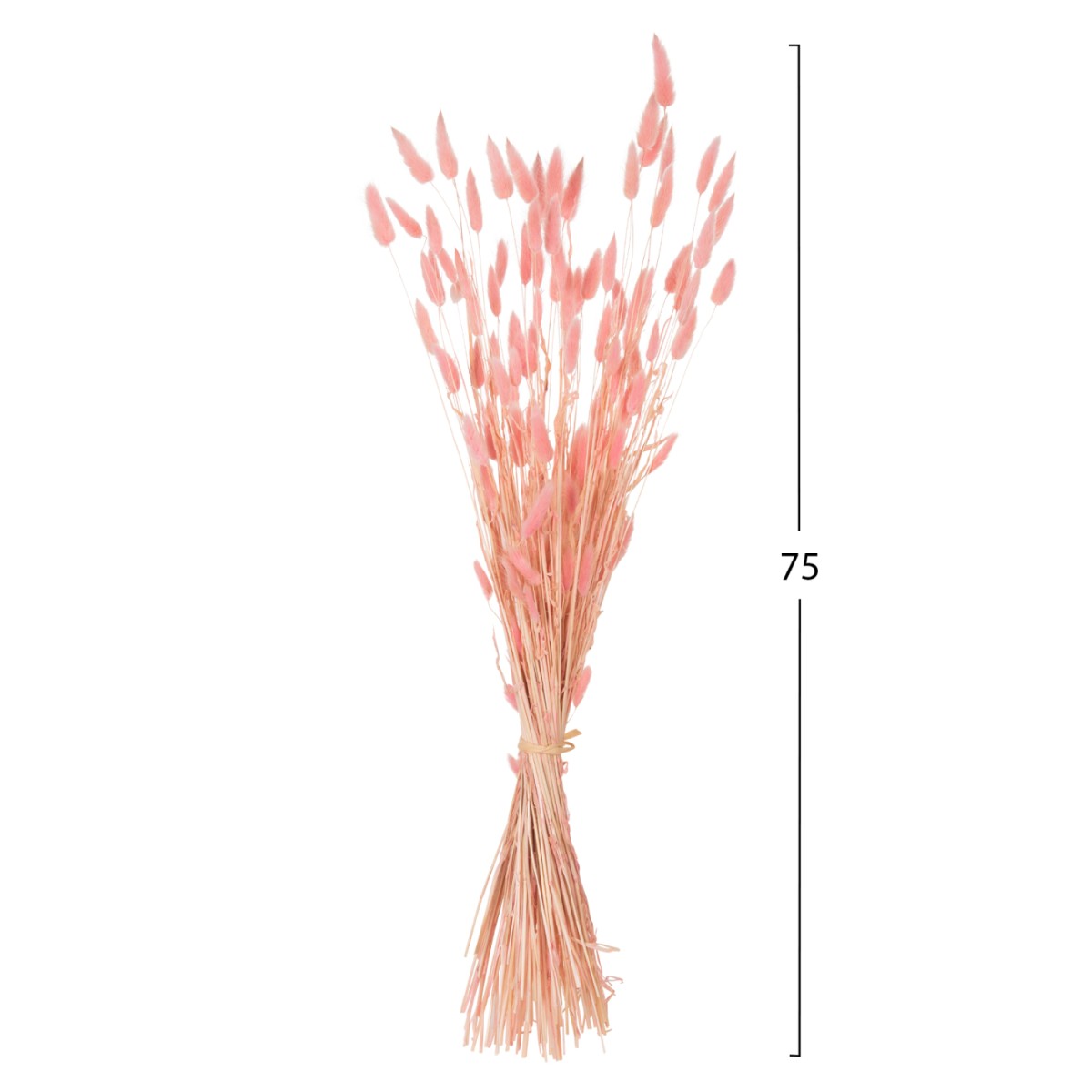 ΔΙΑΚΟΣΜΗΤΙΚΟ ΜΠΟΥΚΕΤΟ ΑΠΟΞΗΡΑΜΕΝΟ HM7960 RABBIT TAIL-PINK 75Υεκ. ΔΙΑΚΟΣΜΗΤΙΚΟ ΜΠΟΥΚΕΤΟ ΑΠΟΞΗΡΑΜΕΝΟ HM7960 RABBIT TAIL-PINK 75Υεκ.