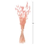 ΔΙΑΚΟΣΜΗΤΙΚΟ ΜΠΟΥΚΕΤΟ ΑΠΟΞΗΡΑΜΕΝΟ HM7960 RABBIT TAIL-PINK 75Υεκ. ΔΙΑΚΟΣΜΗΤΙΚΟ ΜΠΟΥΚΕΤΟ ΑΠΟΞΗΡΑΜΕΝΟ HM7960 RABBIT TAIL-PINK 75Υεκ.