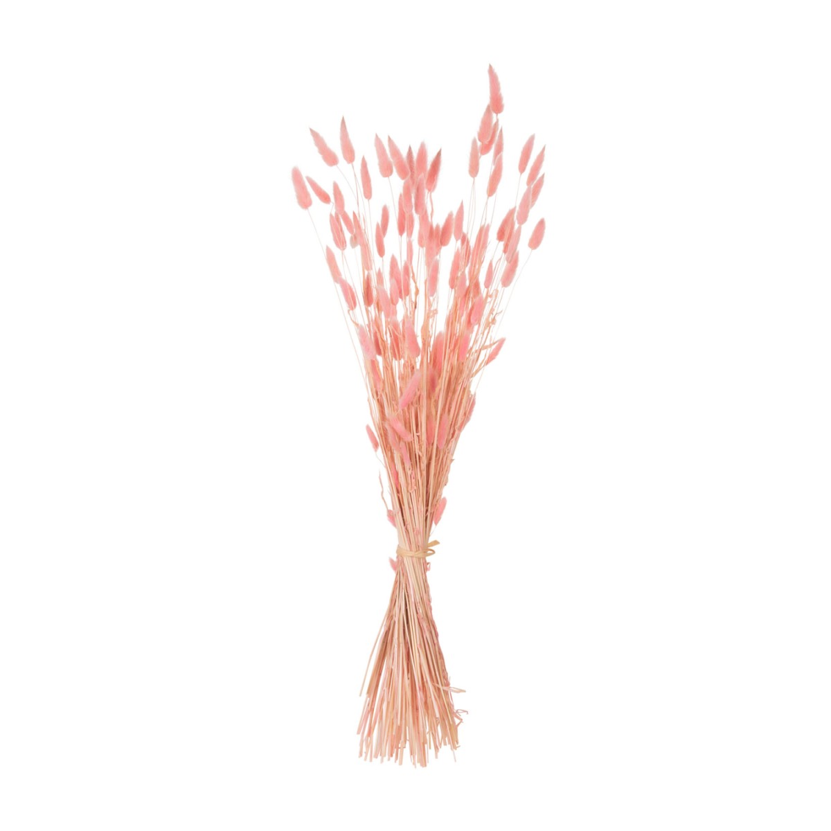 ΔΙΑΚΟΣΜΗΤΙΚΟ ΜΠΟΥΚΕΤΟ ΑΠΟΞΗΡΑΜΕΝΟ HM7960 RABBIT TAIL-PINK 75Υεκ. ΔΙΑΚΟΣΜΗΤΙΚΟ ΜΠΟΥΚΕΤΟ ΑΠΟΞΗΡΑΜΕΝΟ HM7960 RABBIT TAIL-PINK 75Υεκ.