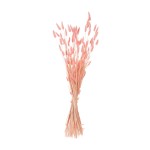 ΔΙΑΚΟΣΜΗΤΙΚΟ ΜΠΟΥΚΕΤΟ ΑΠΟΞΗΡΑΜΕΝΟ HM7960 RABBIT TAIL-PINK 75Υεκ. ΔΙΑΚΟΣΜΗΤΙΚΟ ΜΠΟΥΚΕΤΟ ΑΠΟΞΗΡΑΜΕΝΟ HM7960 RABBIT TAIL-PINK 75Υεκ.