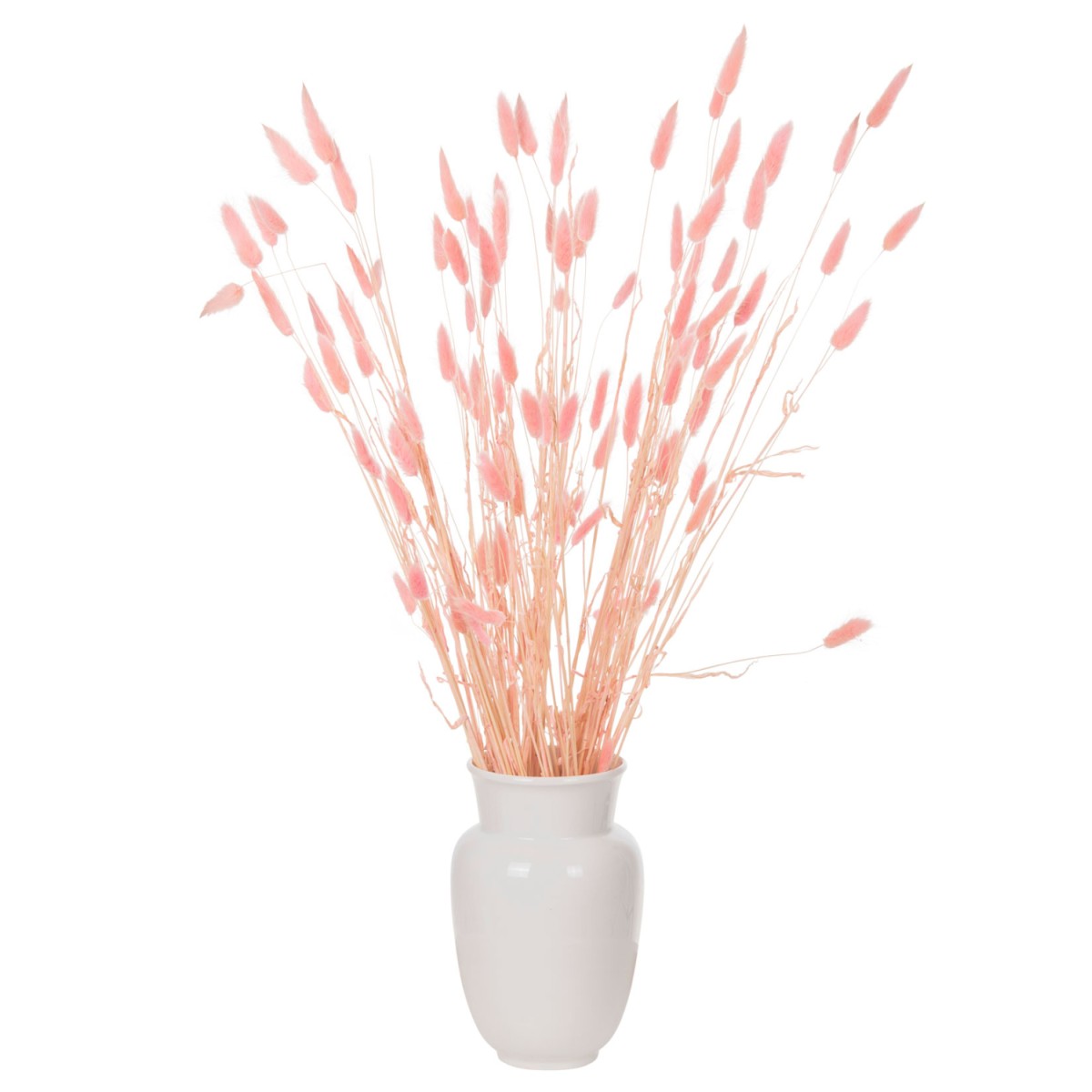 ΔΙΑΚΟΣΜΗΤΙΚΟ ΜΠΟΥΚΕΤΟ ΑΠΟΞΗΡΑΜΕΝΟ HM7960 RABBIT TAIL-PINK 75Υεκ. ΔΙΑΚΟΣΜΗΤΙΚΟ ΜΠΟΥΚΕΤΟ ΑΠΟΞΗΡΑΜΕΝΟ HM7960 RABBIT TAIL-PINK 75Υεκ.