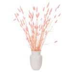 ΔΙΑΚΟΣΜΗΤΙΚΟ ΜΠΟΥΚΕΤΟ ΑΠΟΞΗΡΑΜΕΝΟ HM7960 RABBIT TAIL-PINK 75Υεκ. ΔΙΑΚΟΣΜΗΤΙΚΟ ΜΠΟΥΚΕΤΟ ΑΠΟΞΗΡΑΜΕΝΟ HM7960 RABBIT TAIL-PINK 75Υεκ.