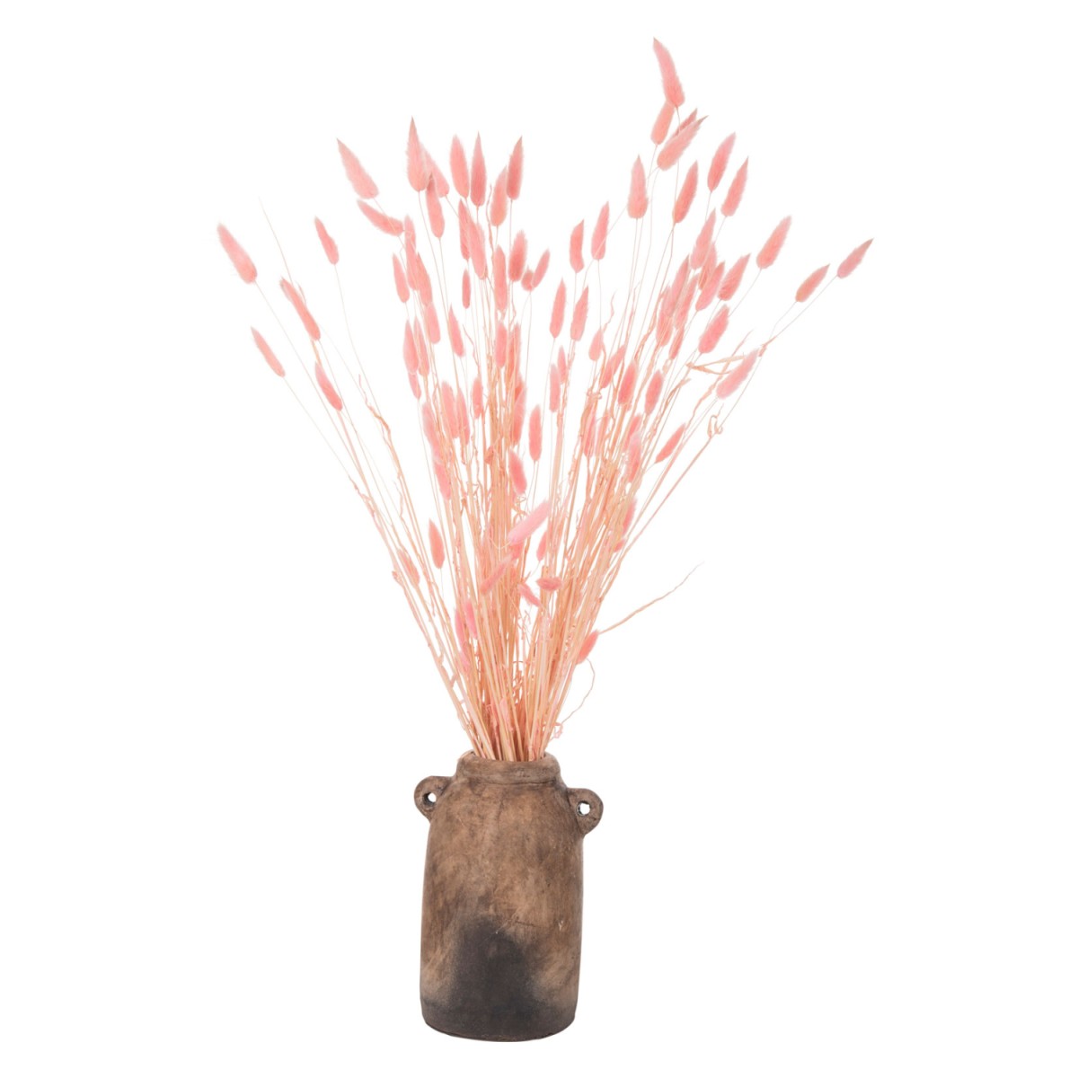 ΔΙΑΚΟΣΜΗΤΙΚΟ ΜΠΟΥΚΕΤΟ ΑΠΟΞΗΡΑΜΕΝΟ HM7960 RABBIT TAIL-PINK 75Υεκ. ΔΙΑΚΟΣΜΗΤΙΚΟ ΜΠΟΥΚΕΤΟ ΑΠΟΞΗΡΑΜΕΝΟ HM7960 RABBIT TAIL-PINK 75Υεκ.