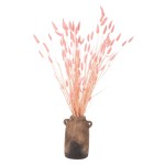 ΔΙΑΚΟΣΜΗΤΙΚΟ ΜΠΟΥΚΕΤΟ ΑΠΟΞΗΡΑΜΕΝΟ HM7960 RABBIT TAIL-PINK 75Υεκ. ΔΙΑΚΟΣΜΗΤΙΚΟ ΜΠΟΥΚΕΤΟ ΑΠΟΞΗΡΑΜΕΝΟ HM7960 RABBIT TAIL-PINK 75Υεκ.