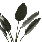 ΔΙΑΚΟΣΜΗΤΙΚΟ ΣΥΝΘΕΤΙΚΟ ΦΥΤΟ HM7969 ΣΤΡΕΛΙΤΣΙΑ ΜΕ ΓΛΑΣΤΡΑ 115Υεκ. ΔΙΑΚΟΣΜΗΤΙΚΟ ΣΥΝΘΕΤΙΚΟ ΦΥΤΟ HM7969 ΣΤΡΕΛΙΤΣΙΑ ΜΕ ΓΛΑΣΤΡΑ 115Υεκ.
