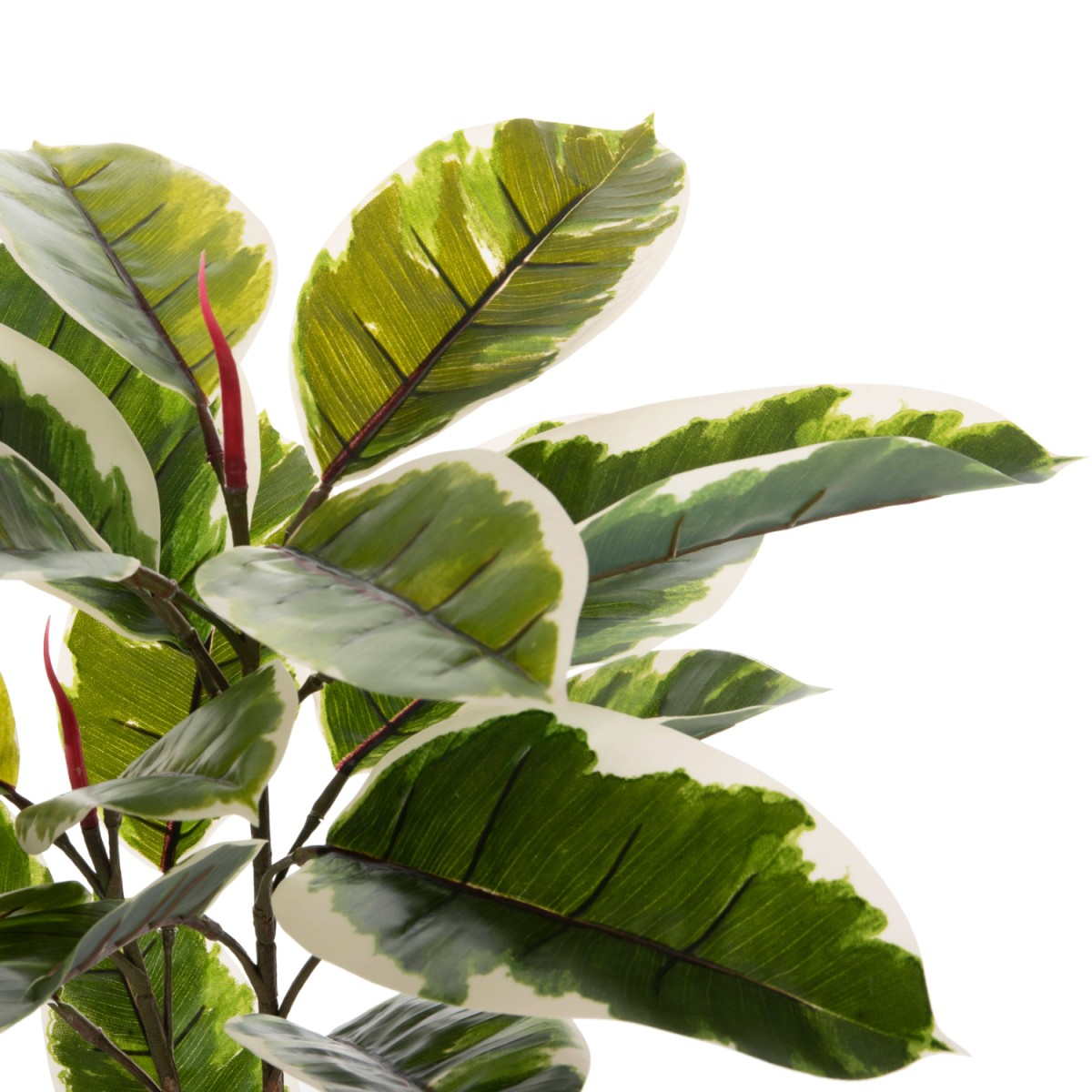 ΔΙΑΚΟΣΜΗΤΙΚΟ ΣΥΝΘΕΤΙΚΟ ΦΥΤΟ HM7972 OAK LEAF ΣΕ ΓΛΑΣΤΡΑ 85Υεκ. ΔΙΑΚΟΣΜΗΤΙΚΟ ΣΥΝΘΕΤΙΚΟ ΦΥΤΟ HM7972 OAK LEAF ΣΕ ΓΛΑΣΤΡΑ 85Υεκ.