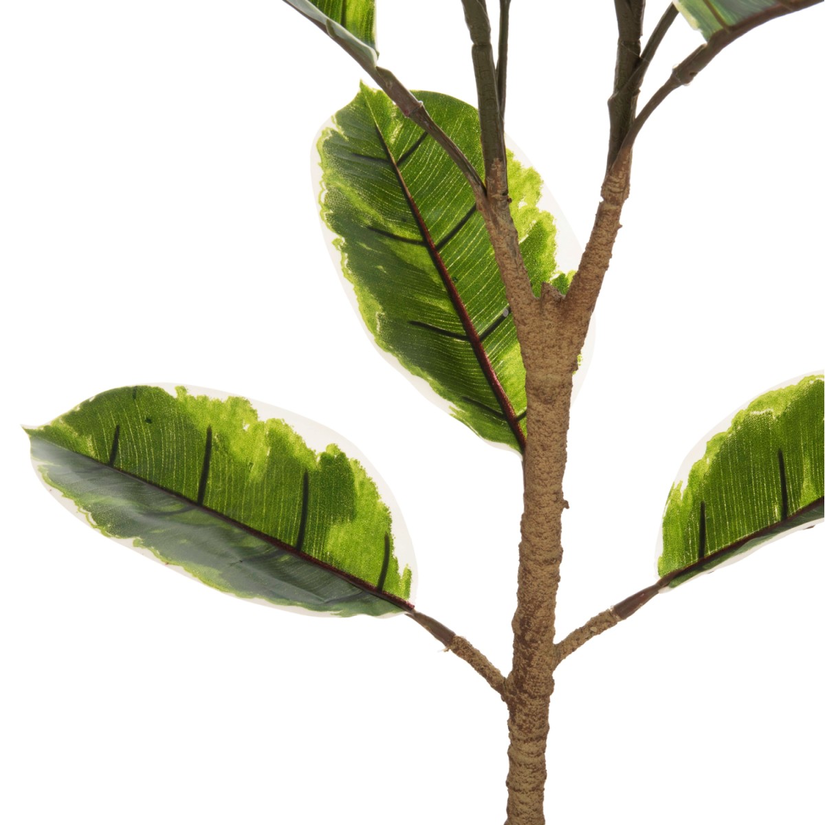 ΔΙΑΚΟΣΜΗΤΙΚΟ ΣΥΝΘΕΤΙΚΟ ΦΥΤΟ HM7972 OAK LEAF ΣΕ ΓΛΑΣΤΡΑ 85Υεκ. ΔΙΑΚΟΣΜΗΤΙΚΟ ΣΥΝΘΕΤΙΚΟ ΦΥΤΟ HM7972 OAK LEAF ΣΕ ΓΛΑΣΤΡΑ 85Υεκ.
