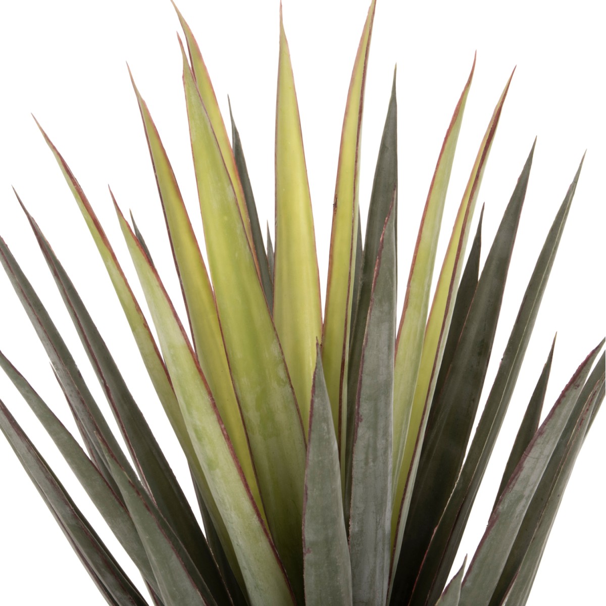 ΔΙΑΚΟΣΜΗΤΙΚΟ ΣΥΝΘΕΤΙΚΟ ΦΥΤΟ HM7986 SISAL AGAVE ΣΕ ΓΛΑΣΤΡΑ Φ15,5x14,5-96Υεκ. ΔΙΑΚΟΣΜΗΤΙΚΟ ΣΥΝΘΕΤΙΚΟ ΦΥΤΟ HM7986 SISAL AGAVE ΣΕ ΓΛΑΣΤΡΑ Φ15,5x14,5-96Υεκ.