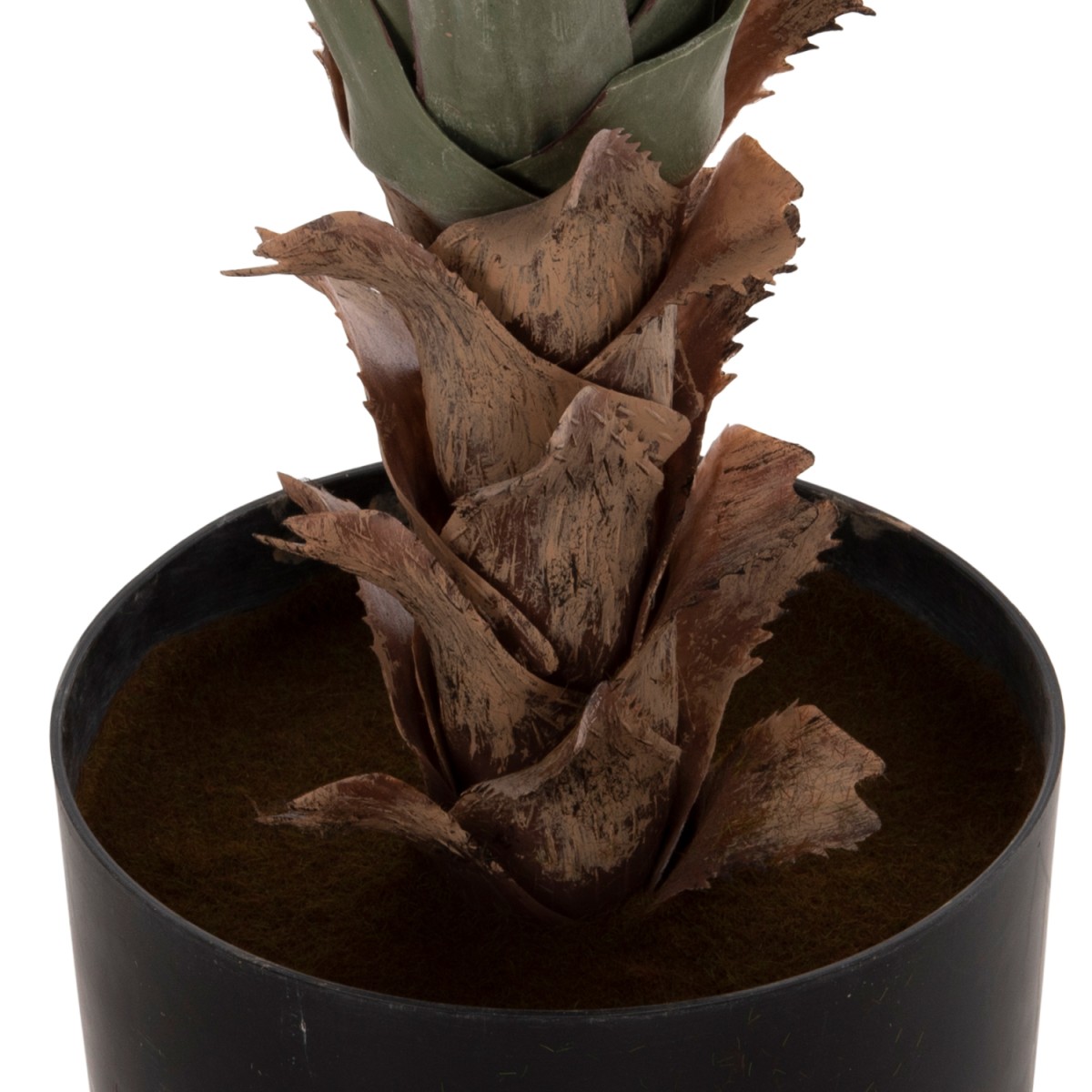 ΔΙΑΚΟΣΜΗΤΙΚΟ ΣΥΝΘΕΤΙΚΟ ΦΥΤΟ HM7986 SISAL AGAVE ΣΕ ΓΛΑΣΤΡΑ Φ15,5x14,5-96Υεκ. ΔΙΑΚΟΣΜΗΤΙΚΟ ΣΥΝΘΕΤΙΚΟ ΦΥΤΟ HM7986 SISAL AGAVE ΣΕ ΓΛΑΣΤΡΑ Φ15,5x14,5-96Υεκ.