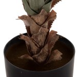 ΔΙΑΚΟΣΜΗΤΙΚΟ ΣΥΝΘΕΤΙΚΟ ΦΥΤΟ HM7986 SISAL AGAVE ΣΕ ΓΛΑΣΤΡΑ Φ15,5x14,5-96Υεκ. ΔΙΑΚΟΣΜΗΤΙΚΟ ΣΥΝΘΕΤΙΚΟ ΦΥΤΟ HM7986 SISAL AGAVE ΣΕ ΓΛΑΣΤΡΑ Φ15,5x14,5-96Υεκ.
