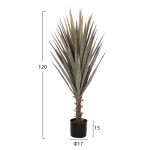 ΔΙΑΚΟΣΜΗΤΙΚΟ ΣΥΝΘΕΤΙΚΟ ΦΥΤΟ HM7987 SISAL AGAVE ΣΕ ΓΛΑΣΤΡΑ 120Υεκ. ΔΙΑΚΟΣΜΗΤΙΚΟ ΣΥΝΘΕΤΙΚΟ ΦΥΤΟ HM7987 SISAL AGAVE ΣΕ ΓΛΑΣΤΡΑ 120Υεκ.