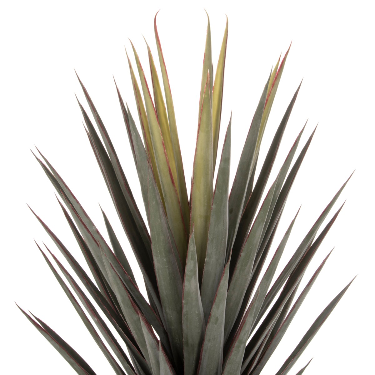 ΔΙΑΚΟΣΜΗΤΙΚΟ ΣΥΝΘΕΤΙΚΟ ΦΥΤΟ HM7987 SISAL AGAVE ΣΕ ΓΛΑΣΤΡΑ 120Υεκ. ΔΙΑΚΟΣΜΗΤΙΚΟ ΣΥΝΘΕΤΙΚΟ ΦΥΤΟ HM7987 SISAL AGAVE ΣΕ ΓΛΑΣΤΡΑ 120Υεκ.