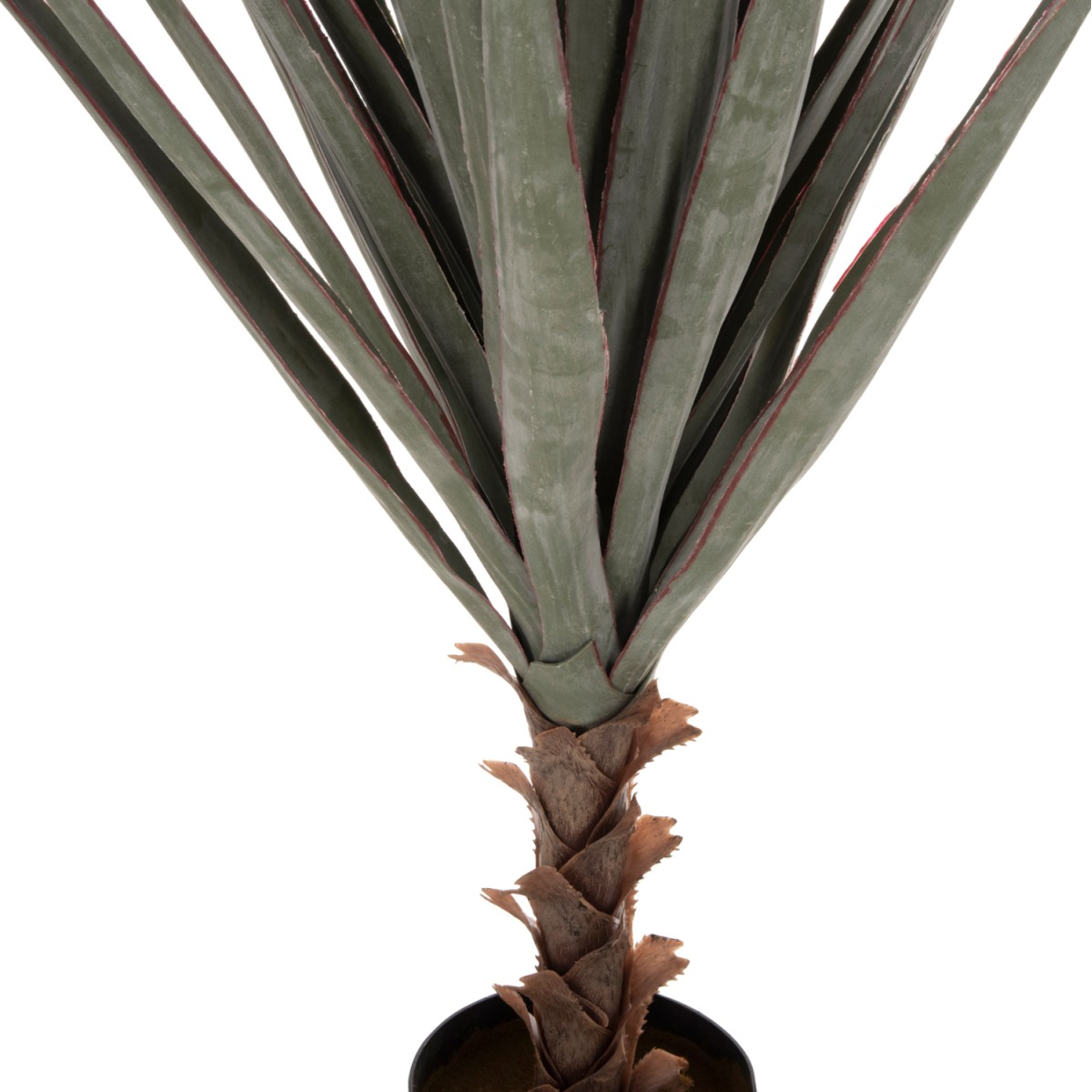 ΔΙΑΚΟΣΜΗΤΙΚΟ ΣΥΝΘΕΤΙΚΟ ΦΥΤΟ HM7987 SISAL AGAVE ΣΕ ΓΛΑΣΤΡΑ 120Υεκ. ΔΙΑΚΟΣΜΗΤΙΚΟ ΣΥΝΘΕΤΙΚΟ ΦΥΤΟ HM7987 SISAL AGAVE ΣΕ ΓΛΑΣΤΡΑ 120Υεκ.