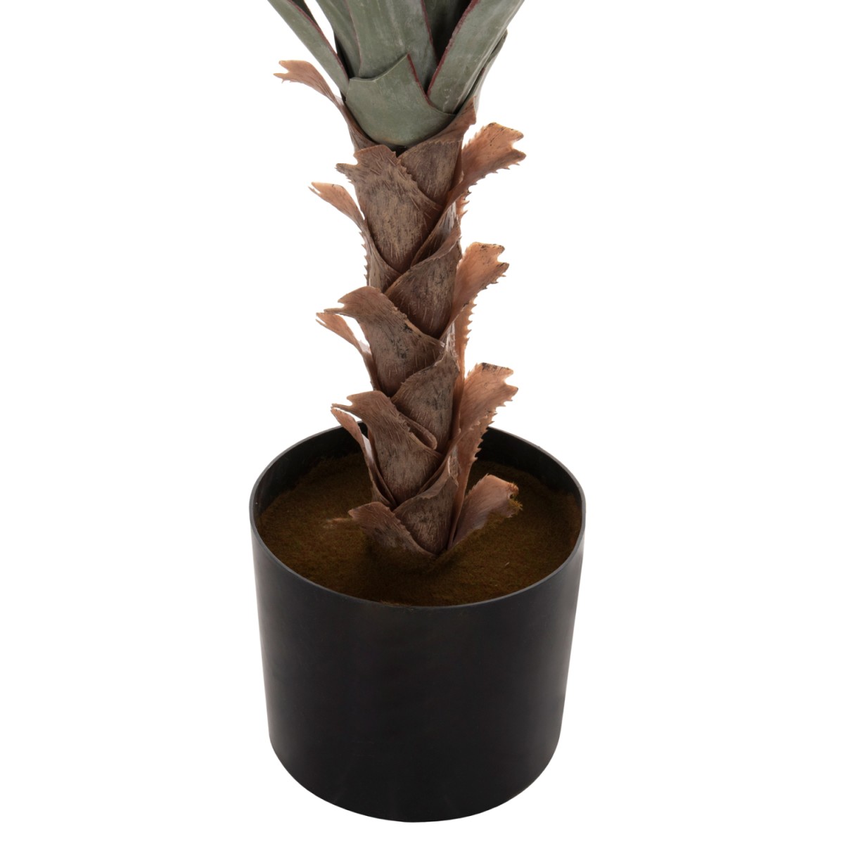 ΔΙΑΚΟΣΜΗΤΙΚΟ ΣΥΝΘΕΤΙΚΟ ΦΥΤΟ HM7987 SISAL AGAVE ΣΕ ΓΛΑΣΤΡΑ 120Υεκ. ΔΙΑΚΟΣΜΗΤΙΚΟ ΣΥΝΘΕΤΙΚΟ ΦΥΤΟ HM7987 SISAL AGAVE ΣΕ ΓΛΑΣΤΡΑ 120Υεκ.