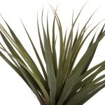 ΔΙΑΚΟΣΜΗΤΙΚΟ ΣΥΝΘΕΤΙΚΟ ΦΥΤΟ HM7988 ΔΕΝΤΡΟ SISAL ΣΕ ΓΛΑΣΤΡΑ Φ23x18-180Υεκ. ΔΙΑΚΟΣΜΗΤΙΚΟ ΣΥΝΘΕΤΙΚΟ ΦΥΤΟ HM7988 ΔΕΝΤΡΟ SISAL ΣΕ ΓΛΑΣΤΡΑ Φ23x18-180Υεκ.