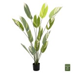 ΔΙΑΚΟΣΜΗΤΙΚΟ ΣΥΝΘΕΤΙΚΟ ΦΥΤΟ HM7997 CALATHEA ΣΕ ΓΛΑΣΤΡΑ 140Υεκ.