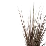 ΔΙΑΚΟΣΜΗΤΙΚΟ ΣΥΝΘΕΤΙΚΟ ΦΥΤΟ HM4011 GRASS ΣΕ ΓΛΑΣΤΡΑ 120Υεκ. ΔΙΑΚΟΣΜΗΤΙΚΟ ΣΥΝΘΕΤΙΚΟ ΦΥΤΟ HM4011 GRASS ΣΕ ΓΛΑΣΤΡΑ 120Υεκ.
