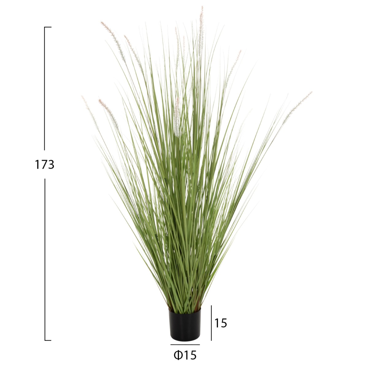 ΔΙΑΚΟΣΜΗΤΙΚΟ ΣΥΝΘΕΤΙΚΟ ΦΥΤΟ HM4017 BRISTLEGRASS ΣΕ ΓΛΑΣΤΡΑ 173Υεκ. ΔΙΑΚΟΣΜΗΤΙΚΟ ΣΥΝΘΕΤΙΚΟ ΦΥΤΟ HM4017 BRISTLEGRASS ΣΕ ΓΛΑΣΤΡΑ 173Υεκ.