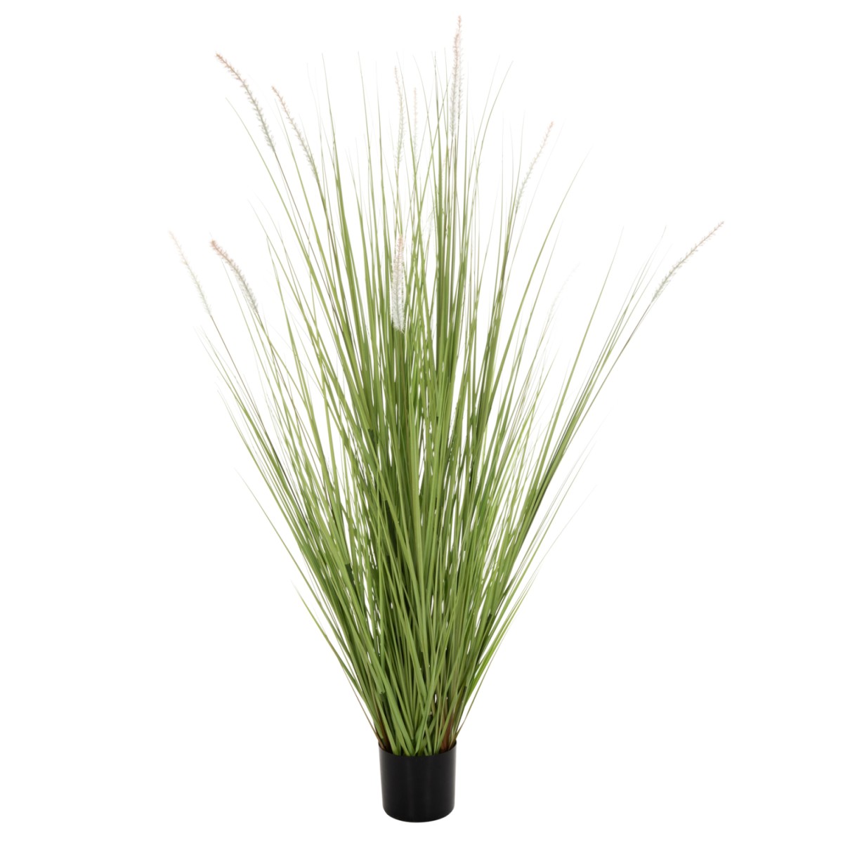 ΔΙΑΚΟΣΜΗΤΙΚΟ ΣΥΝΘΕΤΙΚΟ ΦΥΤΟ HM4017 BRISTLEGRASS ΣΕ ΓΛΑΣΤΡΑ 173Υεκ. ΔΙΑΚΟΣΜΗΤΙΚΟ ΣΥΝΘΕΤΙΚΟ ΦΥΤΟ HM4017 BRISTLEGRASS ΣΕ ΓΛΑΣΤΡΑ 173Υεκ.