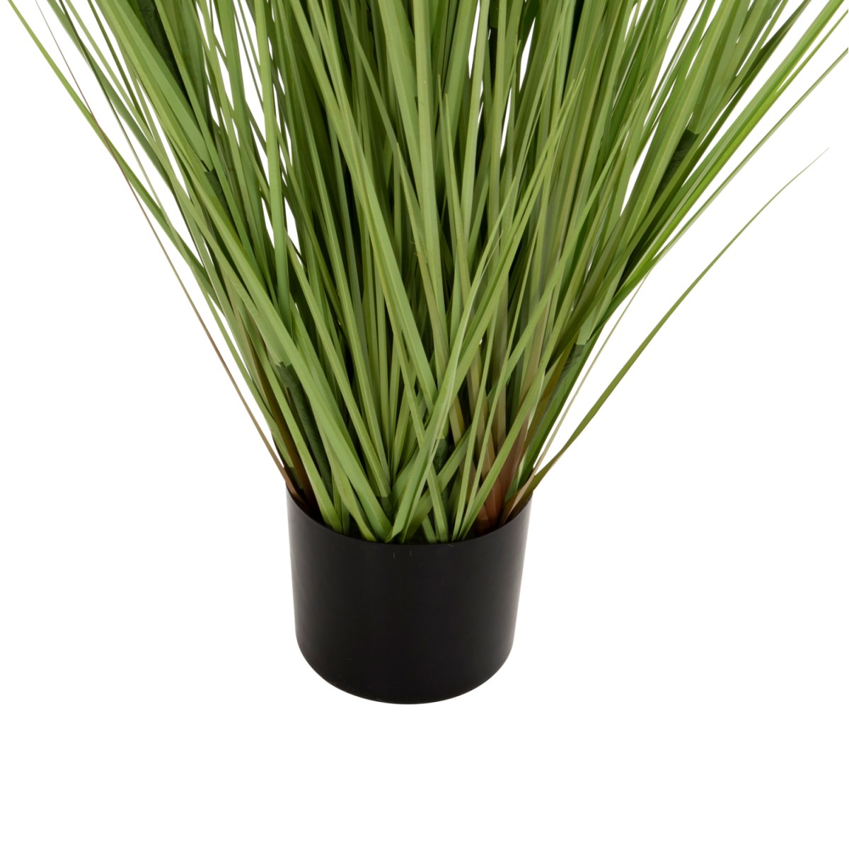 ΔΙΑΚΟΣΜΗΤΙΚΟ ΣΥΝΘΕΤΙΚΟ ΦΥΤΟ HM4017 BRISTLEGRASS ΣΕ ΓΛΑΣΤΡΑ 173Υεκ. ΔΙΑΚΟΣΜΗΤΙΚΟ ΣΥΝΘΕΤΙΚΟ ΦΥΤΟ HM4017 BRISTLEGRASS ΣΕ ΓΛΑΣΤΡΑ 173Υεκ.