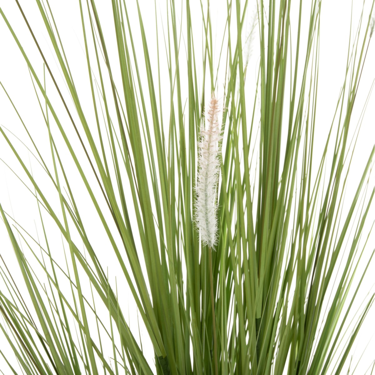 ΔΙΑΚΟΣΜΗΤΙΚΟ ΣΥΝΘΕΤΙΚΟ ΦΥΤΟ HM4017 BRISTLEGRASS ΣΕ ΓΛΑΣΤΡΑ 173Υεκ. ΔΙΑΚΟΣΜΗΤΙΚΟ ΣΥΝΘΕΤΙΚΟ ΦΥΤΟ HM4017 BRISTLEGRASS ΣΕ ΓΛΑΣΤΡΑ 173Υεκ.