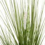 ΔΙΑΚΟΣΜΗΤΙΚΟ ΣΥΝΘΕΤΙΚΟ ΦΥΤΟ HM4017 BRISTLEGRASS ΣΕ ΓΛΑΣΤΡΑ 173Υεκ. ΔΙΑΚΟΣΜΗΤΙΚΟ ΣΥΝΘΕΤΙΚΟ ΦΥΤΟ HM4017 BRISTLEGRASS ΣΕ ΓΛΑΣΤΡΑ 173Υεκ.