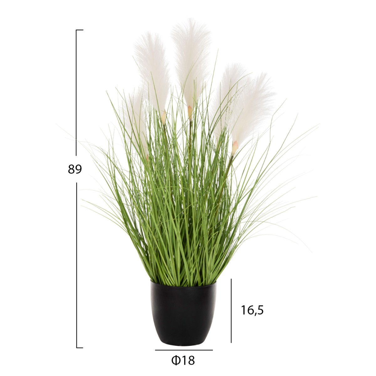 ΔΙΑΚΟΣΜΗΤΙΚΟ ΣΥΝΘΕΤΙΚΟ ΦΥΤΟ HM4025 GRASS ΣΕ ΓΛΑΣΤΡΑ 89Υεκ. ΔΙΑΚΟΣΜΗΤΙΚΟ ΣΥΝΘΕΤΙΚΟ ΦΥΤΟ HM4025 GRASS ΣΕ ΓΛΑΣΤΡΑ 89Υεκ.