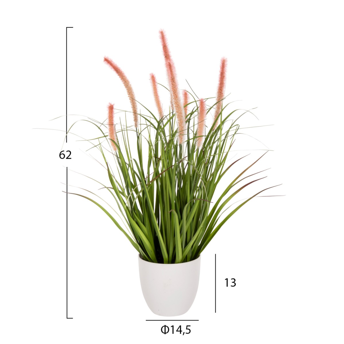 ΔΙΑΚΟΣΜΗΤΙΚΟ ΣΥΝΘΕΤΙΚΟ ΦΥΤΟ HM4029 BRISTLEGRASS ΣΕ ΓΛΑΣΤΡΑ Φ14,5x13-62Yεκ. ΔΙΑΚΟΣΜΗΤΙΚΟ ΣΥΝΘΕΤΙΚΟ ΦΥΤΟ HM4029 BRISTLEGRASS ΣΕ ΓΛΑΣΤΡΑ Φ14,5x13-62Yεκ.